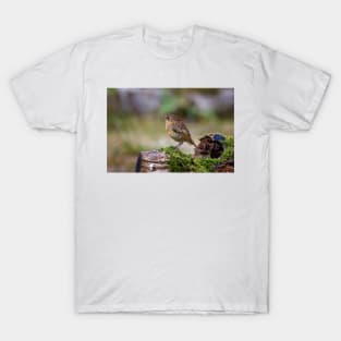 Juvenile Robin T-Shirt